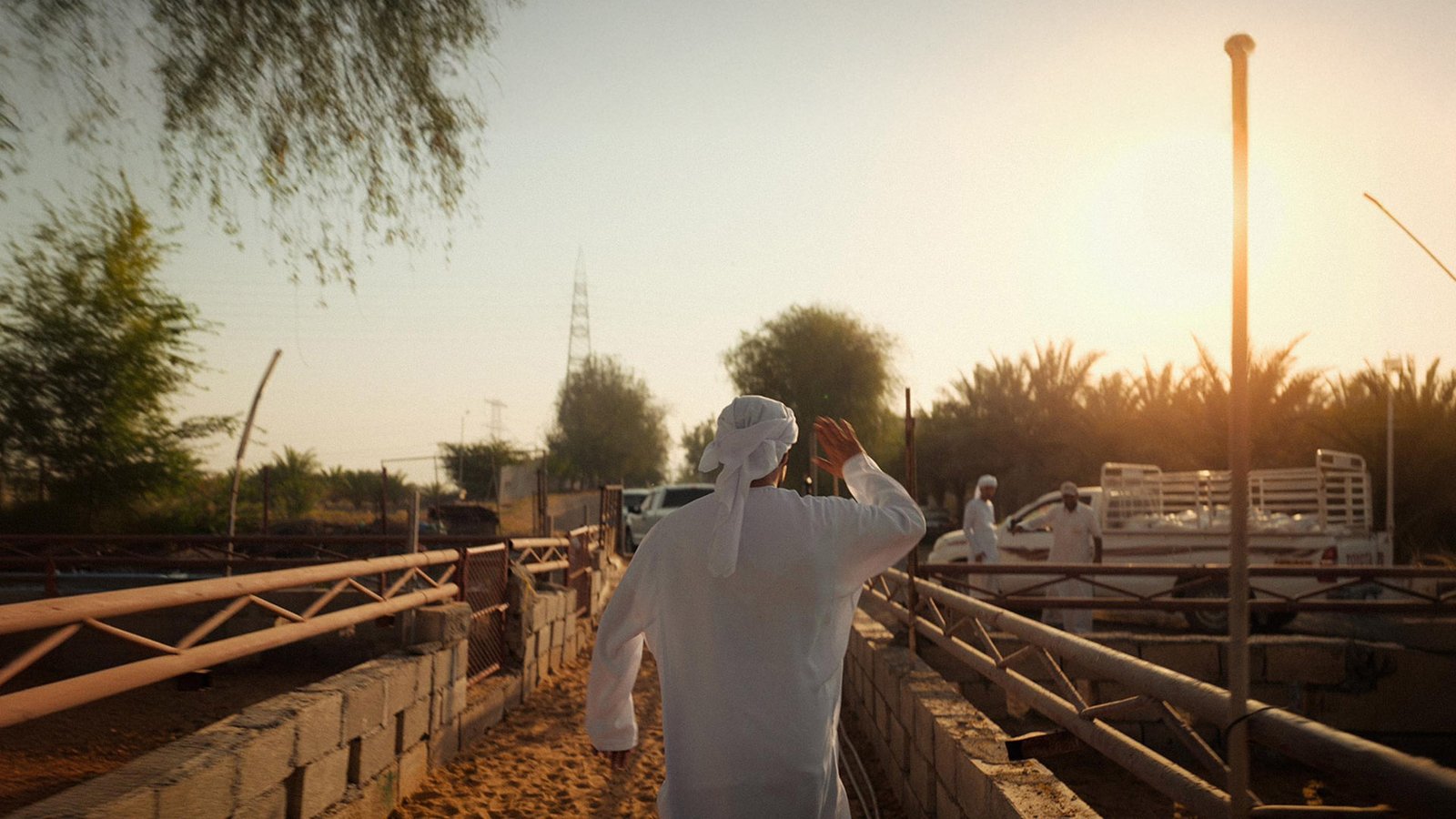 Ambitious Ahmed bin Al-Sheikh